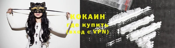 твердый Аркадак