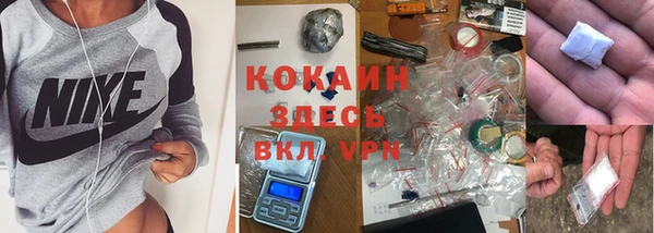 стаф Галич
