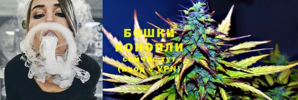 твердый Аркадак