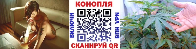 Конопля план  Белово 